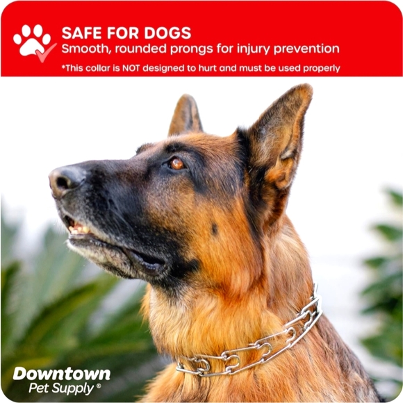 Downtown Pet Supply Prong Training Collar with Quick Release (Chrome, Me… - Picture 3 of 6